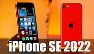 iPhone SE 2022 im Test