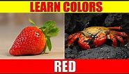 Learn Color RED - Things That Are Red in Colour