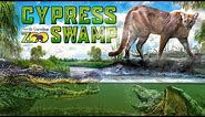 Zoo Tours: Cypress Swamp | North Carolina Zoo