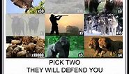 Pick Two Animals Meme