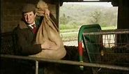 The Mitchell and Webb Situation - Farming
