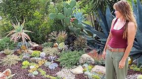 Laura Eubanks' Succulent Garden Design Secrets