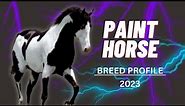 AMERICAN PAINT HORSE Breed Profile