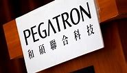 Taiwan's Pegatron to build Tesla parts plant in Texas - report
