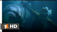 Jaws 3-D (2/9) Movie CLIP - Rescued by Dolphins (1983) HD