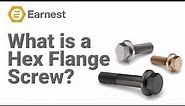 What is a Hex Flange Screw?