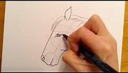 Beginners Lesson - How To Draw A Horse