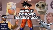 Meme Of The Month: February 2024