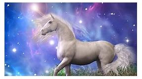 130 Unicorn Quotes to Sprinkle You With Enchantment