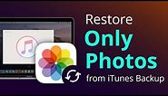 How to Restore Only Photos from iTunes Backup to iPhone [4 Easy Steps]