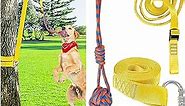 XiaZ Retractable Interactive Dog Toy, Rope Tug of War Toys for Small Medium Large Dogs, Outdoor Hanging Exercise Play Tug War, Extra Durable, Safe