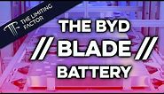 The BYD Blade Battery Evaluated: The Hype is Real (Mostly)