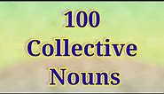 Collective Nouns - English Grammar