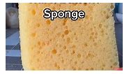 Will it Button Sponge #nickpainting #sponge #button #pin | Howard Stern