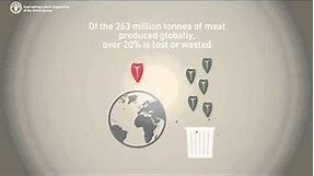Food loss and waste facts - Meat