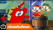 SpongeBob SquarePants | Cute Knuckles | Nickelodeon UK
