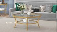 O&K FURNITURE Modern Round Coffee Table with Storage, 2-Tier Glass Top Coffee Table for Living Room, Gold