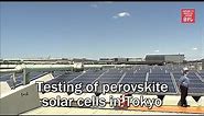 Testing of perovskite solar cells in Tokyo