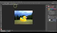 Photoshop- How to resize an individual layer or object
