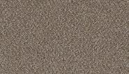 Home Decorators Collection Westchester III - Suede - Beige 70 oz. Polyester Texture Installed Carpet H0131-3017-1200