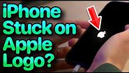 iPhone Stuck On Apple Logo? Here's The Fix!