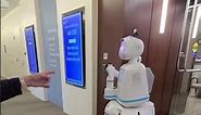 Moxi the hospital delivery robot