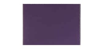 CSB Rainbow Study Bible, Purple Leather Touch