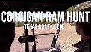 Corsican Ram Hunt at Texas Hunt Lodge - Texas Exotic Hunting Series