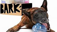 Super Chewer by BarkBox Monthly Subscription Box, Dog Box Care Package for Aggressive Chewers, Durable Dog Toys, Small Dog (0-20lb)
