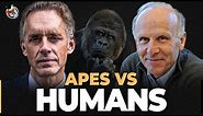 Primatologist Explains the 1% Difference Between Humans & Apes | Richard Wrangham | EP 249