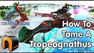 Ark HOW TO TAME A TROPEOGNATHUS Jet Fighter!