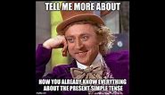 The Present Simple Tense revision with MEMES