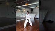 Shukokai karate basic combinations