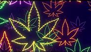 Neon Lights Cannabis Leaf Logo Flying Forward 4K Free Colorful Motion Background #4