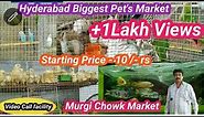 Pet Market In Hyderabad || Biggest & Wholesale Pet's Market In Hyderabad // Murgi Chowk Hyderabad