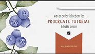 Watercolor Procreate Brushes | Procreate Tutorial | How To Draw Watercolor Bluberries in Procreate