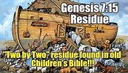 Genesis 7:15 "Two By Two" Residue - Bible Mandela Effect