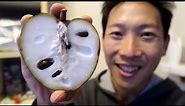 Cherimoya Taste Test aka Custard Apple, Chirimoya