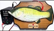 If High Voltage is Applied to the "Big Mouth Billy Bass"