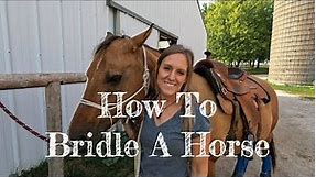How To Bridle A Horse