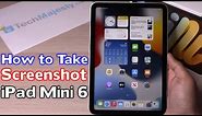 How to Take Screenshot on iPad Mini 6 (2021)