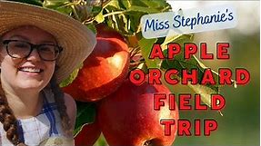Apple Orchard: Virtual Field Trip for Preschool, Kindergarten, Elementary, & Homeschool Kids