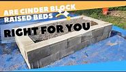 Pros and Cons Of Building A Cinder Block Raised Bed!