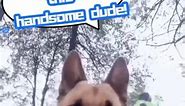 🐶🐾 Funny Dog Takes Selfie On His Own and Wonders Who The Handsome Dog Is? #funnydog #shorts