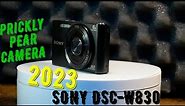 *2023* Sony DSC-W830 Camera Review-Should you Buy?