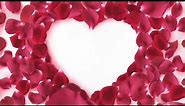 Footage Background Rose Petals Heart Frame