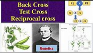 Test Cross | Back Cross | Reciprocal cross | Genetics