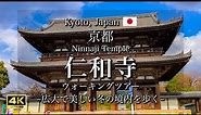 Winter Stroll at Ninnaji Temple in Kyoto, Japan | Travel Guide to Kyoto [4K]
