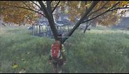DayZ .60 How To Get Unlimited Apples From Apple Trees
