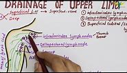 Lymphatic Drainage of Upper Limb | Lymph Vessels & Lymph Nodes
